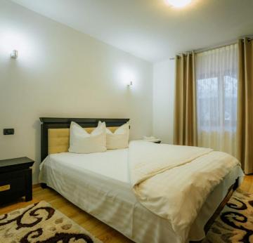 Pension CASA CERCANEL from Borsa, Maramureș picture 22