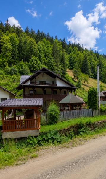 Pension CASA CERCANEL from Borsa, Maramureș picture 37