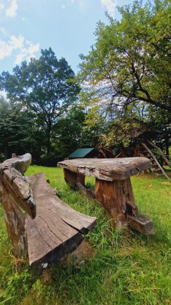 Pension PENSIUNEA SEKY from Salistea De Sus, Maramureș picture 11