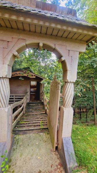 Pension PENSIUNEA SEKY from Salistea De Sus, Maramureș picture 12