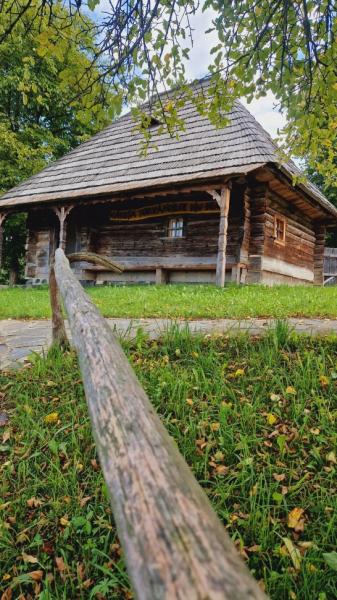 Pension PENSIUNEA SEKY from Salistea De Sus, Maramureș picture 14