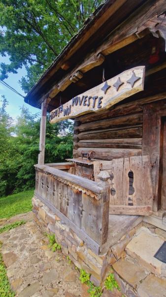 Pension PENSIUNEA SEKY from Salistea De Sus, Maramureș picture 2