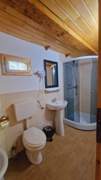 Pension PENSIUNEA SEKY from Salistea De Sus, Maramureș picture 20