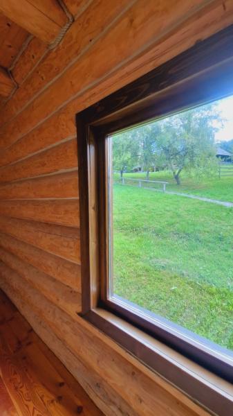 Pension PENSIUNEA SEKY from Salistea De Sus, Maramureș picture 21