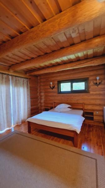 Pension PENSIUNEA SEKY from Salistea De Sus, Maramureș picture 23