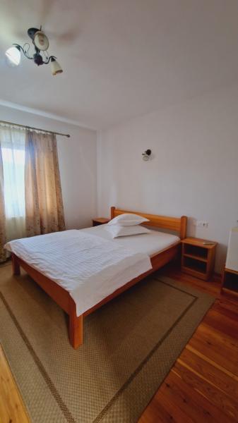 Pension PENSIUNEA SEKY from Salistea De Sus, Maramureș picture 25