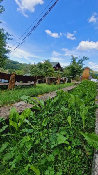 Pension PENSIUNEA SEKY from Salistea De Sus, Maramureș picture 28