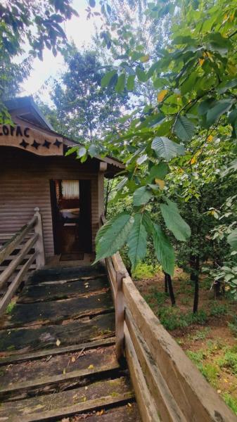 Pension PENSIUNEA SEKY from Salistea De Sus, Maramureș picture 29