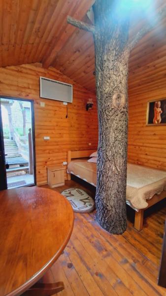 Pension PENSIUNEA SEKY from Salistea De Sus, Maramureș picture 30