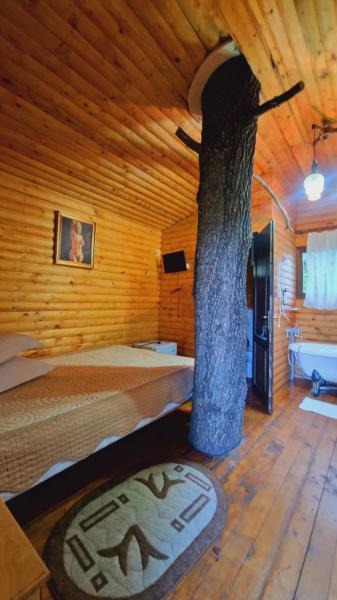 Pension PENSIUNEA SEKY from Salistea De Sus, Maramureș picture 31