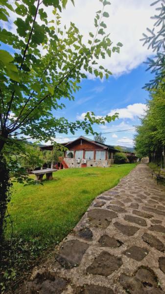 Pension PENSIUNEA SEKY from Salistea De Sus, Maramureș picture 38