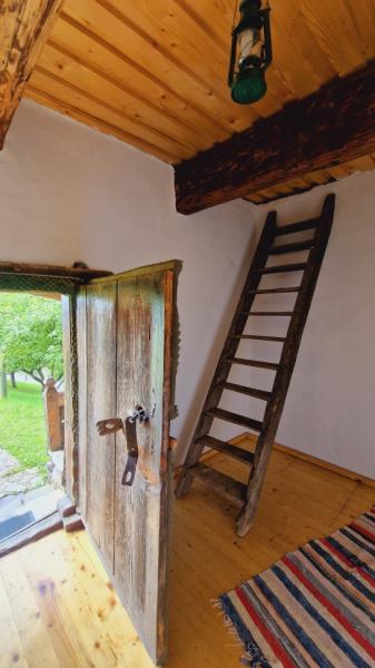 Pension PENSIUNEA SEKY from Salistea De Sus, Maramureș picture 4