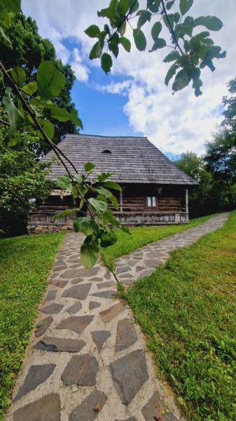 Pension PENSIUNEA SEKY from Salistea De Sus, Maramureș picture 7