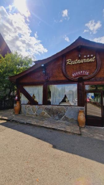 Pension PENSIUNEA SEKY from Salistea De Sus, Maramureș picture 8