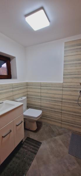 Pension CASA CODREA WAGNER from Sighetu Marmatiei, Maramureș picture 23