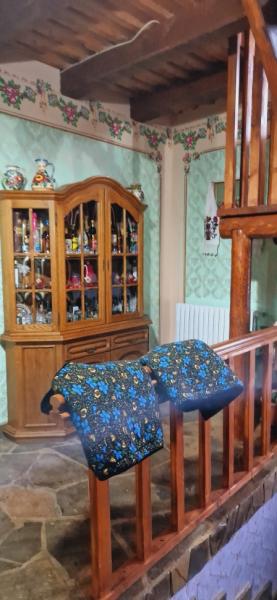 Pension CASA CODREA WAGNER from Sighetu Marmatiei, Maramureș picture 6