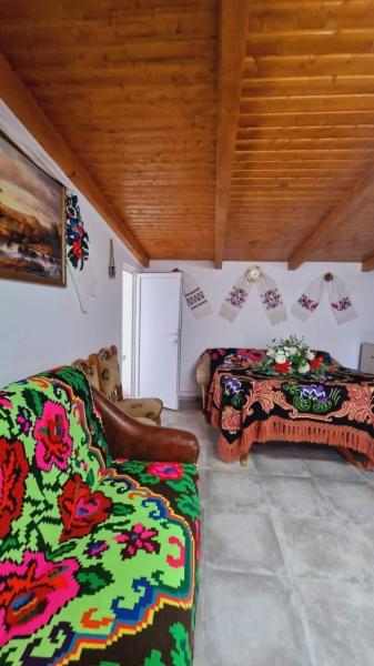 Pension CAMERE DE INCHIRIAT LA DORY from Sat Sugatag, Maramureș picture 13