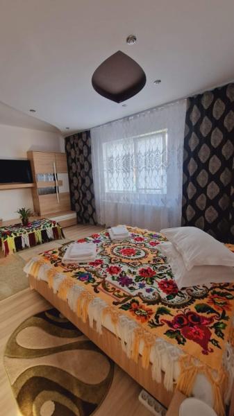 Pension CAMERE DE INCHIRIAT LA DORY from Sat Sugatag, Maramureș picture 14