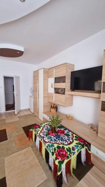 Pension CAMERE DE INCHIRIAT LA DORY from Sat Sugatag, Maramureș picture 15