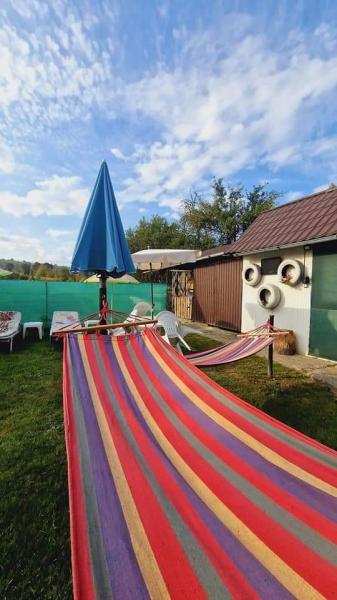 Pension CAMERE DE INCHIRIAT LA DORY from Sat Sugatag, Maramureș picture 22