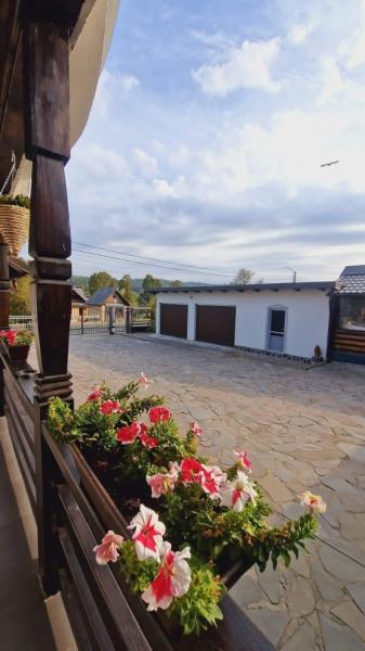 Pension CAMERE DE INCHIRIAT LA DORY from Sat Sugatag, Maramureș picture 23