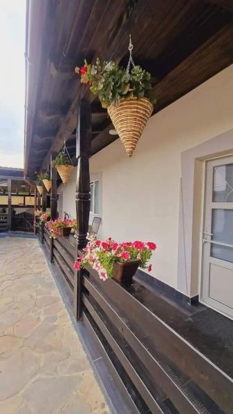 Pension CAMERE DE INCHIRIAT LA DORY from Sat Sugatag, Maramureș picture 27