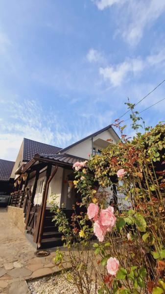 Pension CAMERE DE INCHIRIAT LA DORY from Sat Sugatag, Maramureș picture 28