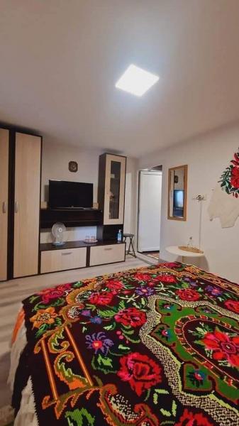 Pension CAMERE DE INCHIRIAT LA DORY from Sat Sugatag, Maramureș picture 6