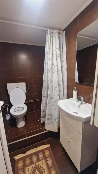Pension CAMERE DE INCHIRIAT LA DORY from Sat Sugatag, Maramureș picture 7