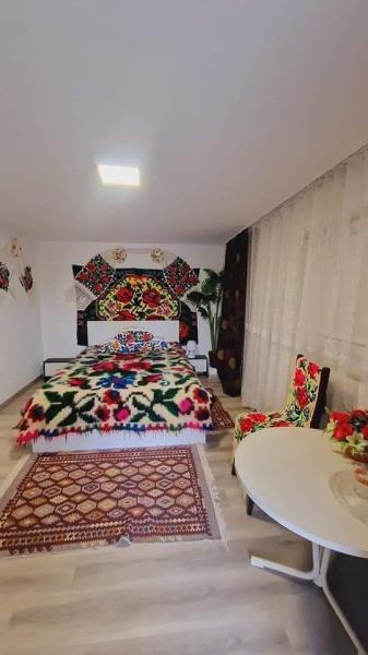Pension CAMERE DE INCHIRIAT LA DORY from Sat Sugatag, Maramureș picture 8