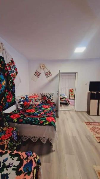 Pension CAMERE DE INCHIRIAT LA DORY from Sat Sugatag, Maramureș picture 9