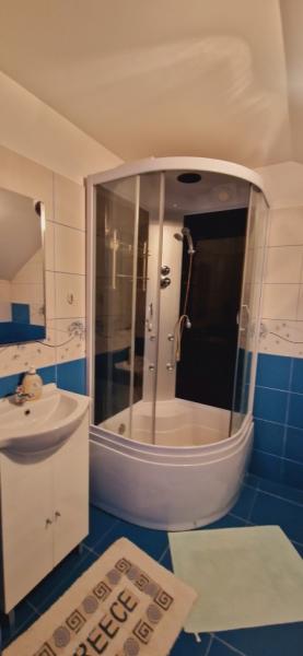 Pension PENSIUNEA CASA ANDREI from Barsana, Maramureș picture 15