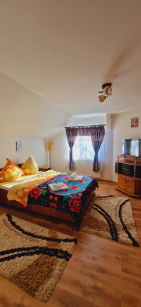 Pension PENSIUNEA CASA ANDREI from Barsana, Maramureș picture 16