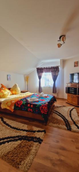 Pension PENSIUNEA CASA ANDREI from Barsana, Maramureș picture 17