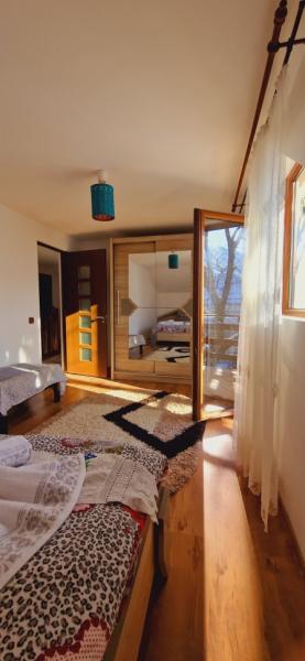 Pension PENSIUNEA CASA ANDREI from Barsana, Maramureș picture 21