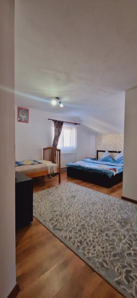 Pension PENSIUNEA CASA ANDREI from Barsana, Maramureș picture 24