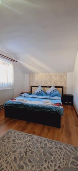 Pension PENSIUNEA CASA ANDREI from Barsana, Maramureș picture 25