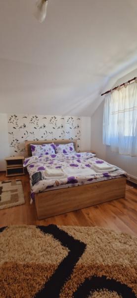 Pension PENSIUNEA CASA ANDREI from Barsana, Maramureș picture 26