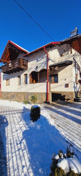Pension PENSIUNEA CASA ANDREI from Barsana, Maramureș picture 28
