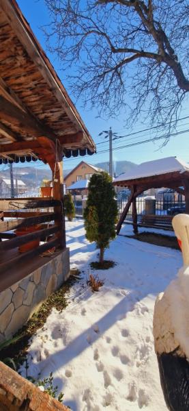 Pension PENSIUNEA CASA ANDREI from Barsana, Maramureș picture 29