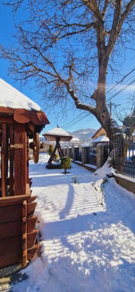 Pension PENSIUNEA CASA ANDREI from Barsana, Maramureș picture 3