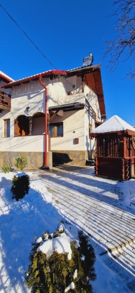 Pension PENSIUNEA CASA ANDREI from Barsana, Maramureș picture 30