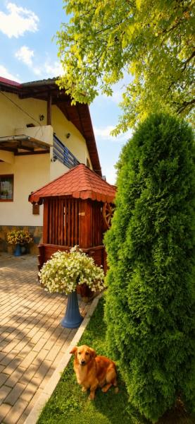 Pension PENSIUNEA CASA ANDREI from Barsana, Maramureș picture 31