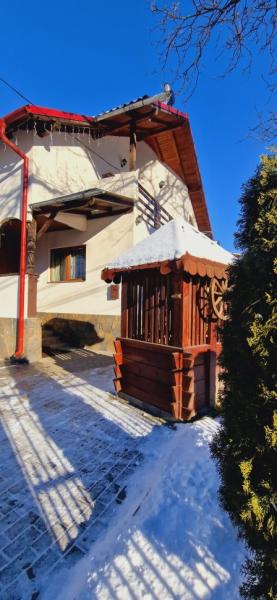 Pension PENSIUNEA CASA ANDREI from Barsana, Maramureș picture 33