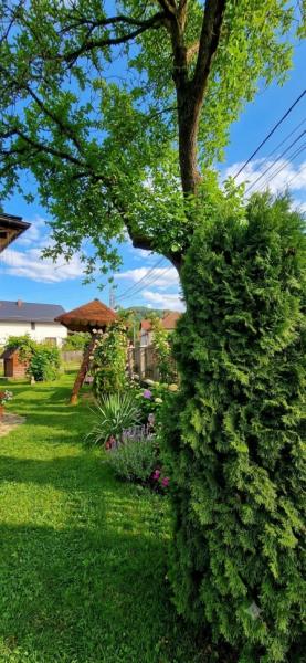 Pension PENSIUNEA CASA ANDREI from Barsana, Maramureș picture 36