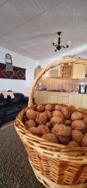 Pension PENSIUNEA CASA ANDREI from Barsana, Maramureș picture 6