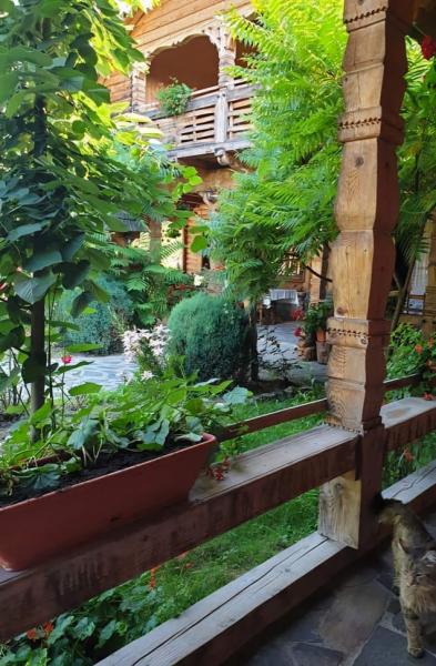 Pension PENSIUNEA SUB CETATE LA MATEI from Oncesti, Maramureș picture 19