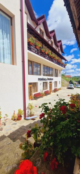 Pension PENSIUNEA IN POIANA from Glod, Maramureș picture 28