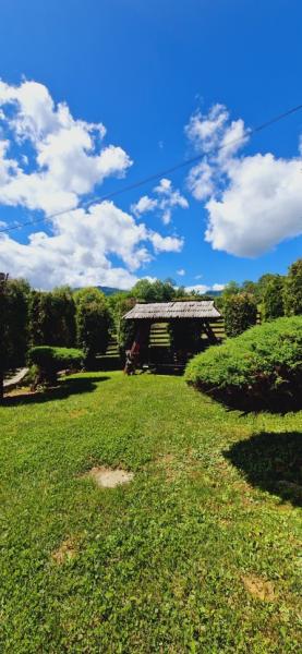 Pension PENSIUNEA IN POIANA from Glod, Maramureș picture 32