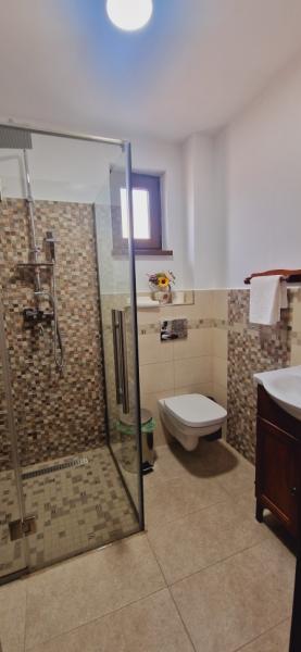 Pension PENSIUNEA IN POIANA from Glod, Maramureș picture 7